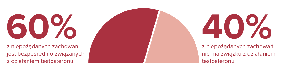 Wykres kołowy przedstawiający, że 60% niepożądanych zachowań u psów jest bezpośrednio związanych z działaniem testosteronu, a 40% nie ma związku z działaniem testosteronu.