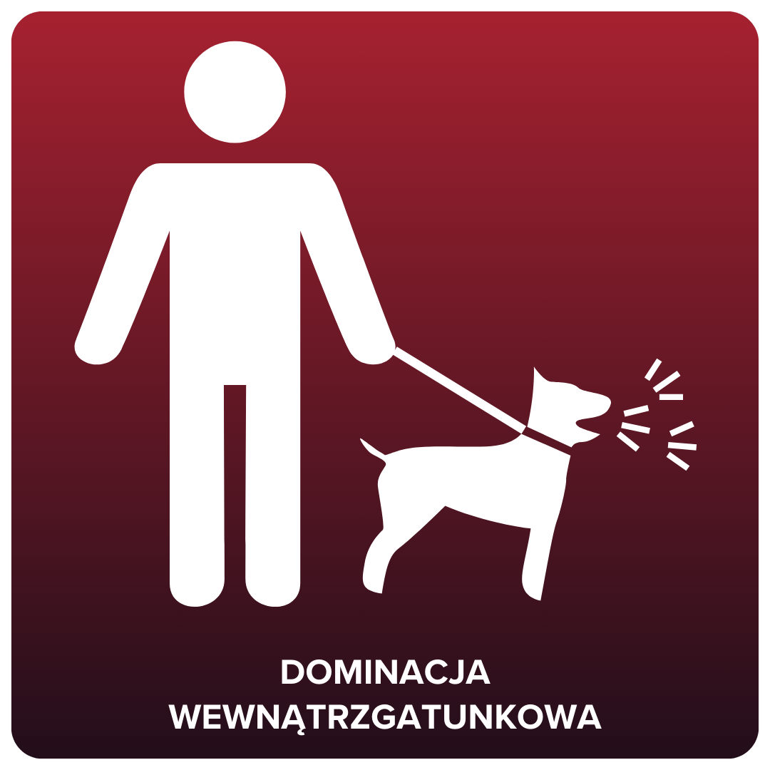 dominacja-wewnatrzgatunkowa.png