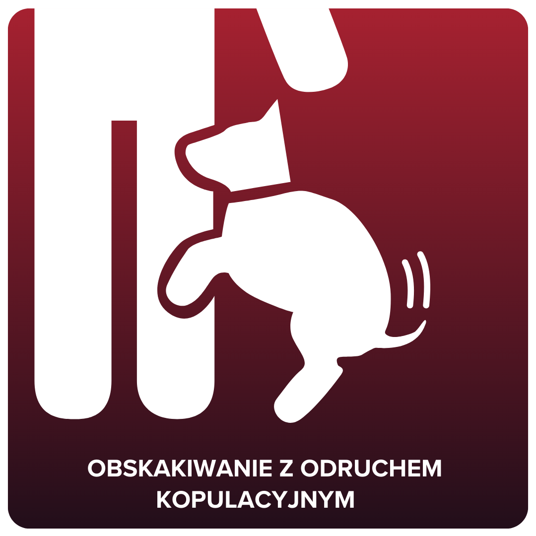 obskakiwanie-z-odruchem-kopulacyjnym.png