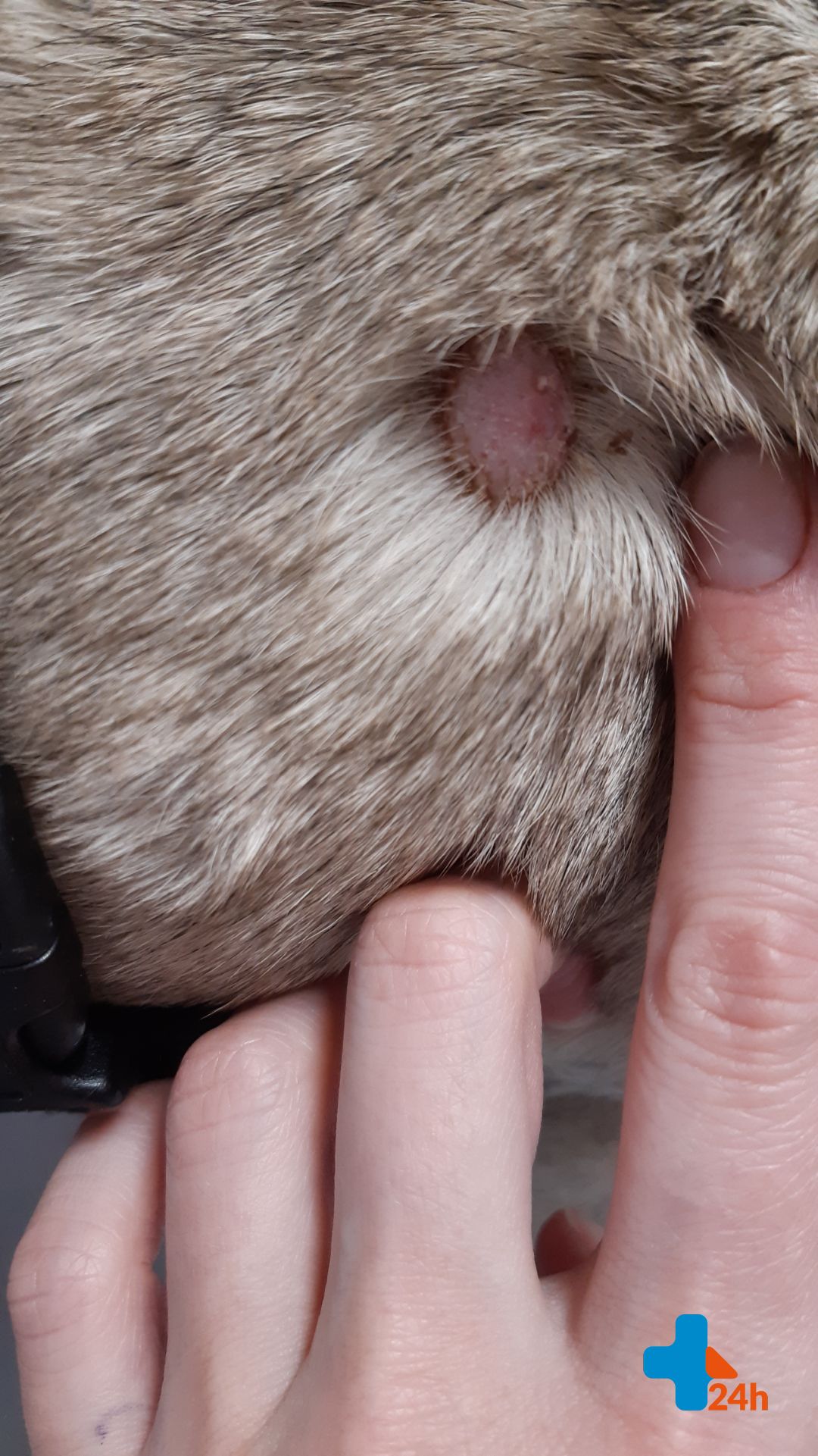 Resized_20200306_131743 (002).jpeg