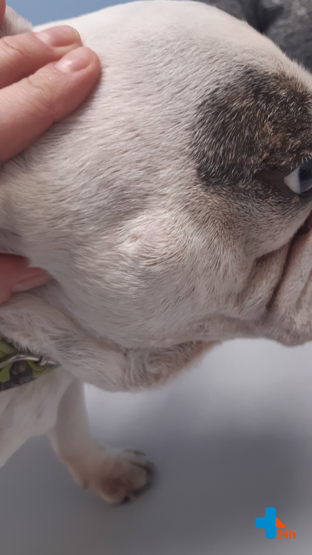 Resized_20201230_190430_260103054751338 (1).jpeg