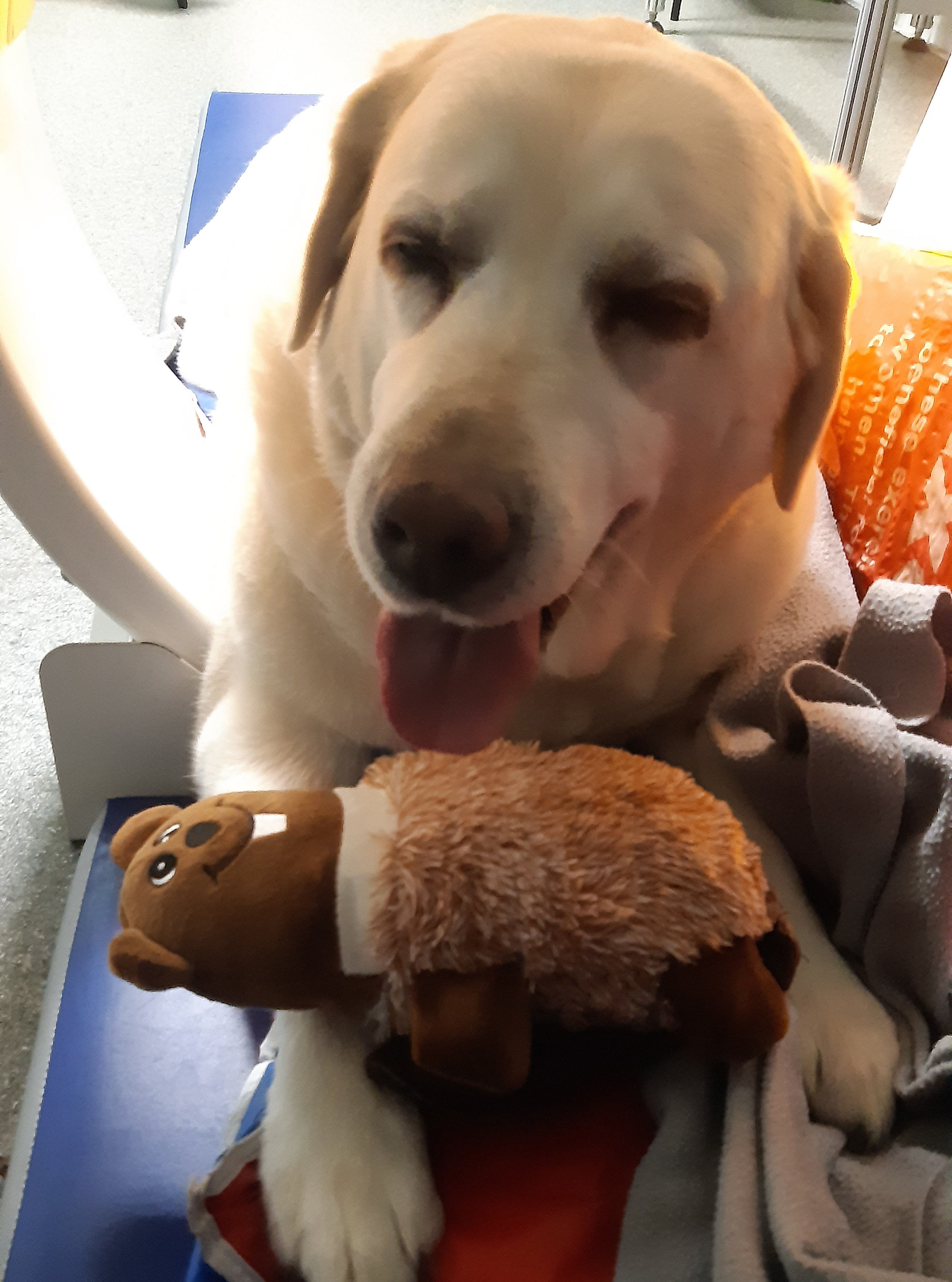 choroba_zwyrodnieniowa_stawow_-_nie_lada_wyzwanie_foto_1