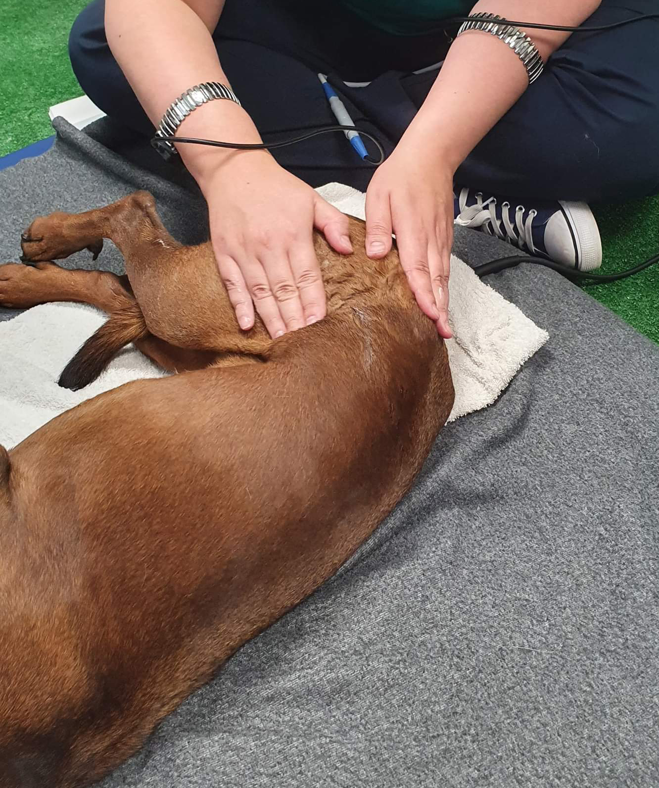 choroba_zwyrodnieniowa_stawow_-_nie_lada_wyzwanie_foto_2