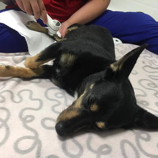 choroba_zwyrodnieniowa_stawow_-_nie_lada_wyzwanie_foto_3