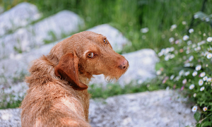 Choroba zwyrodnieniowa stawów - nie lada wyzwanie