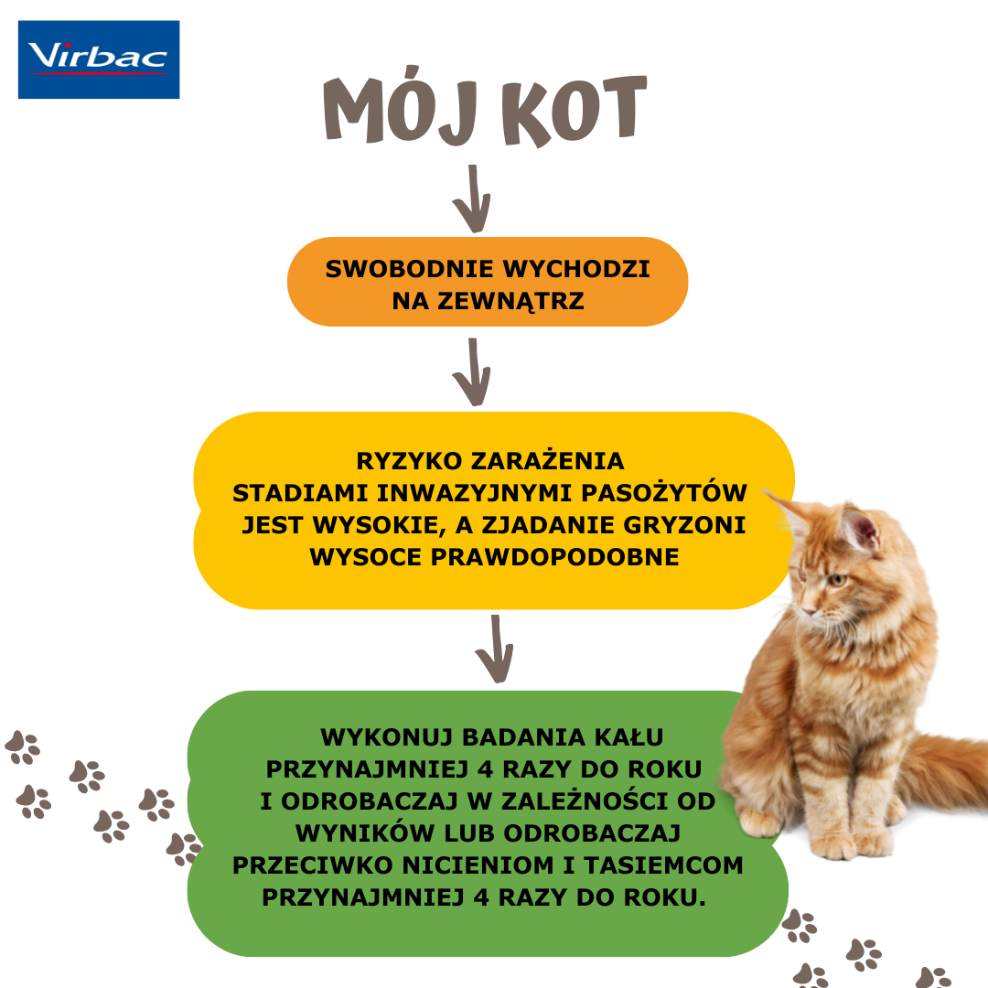 VIRBAC_ODROBACZANIE_KOT_2.png