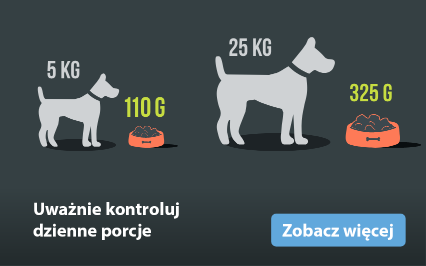 FR_1Group-1043@2x PL.png