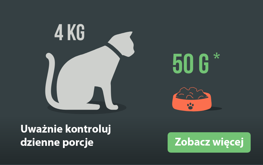 Group 1628@2x PL.png