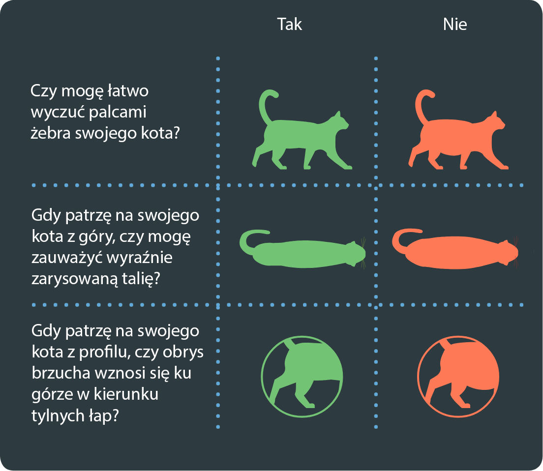 Group 1631@2x PL.png