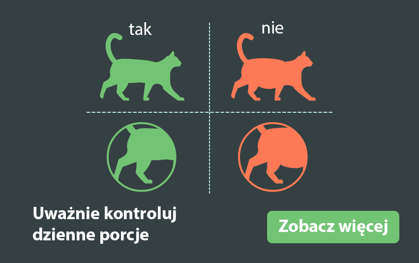 Group-1628@2x PL.png