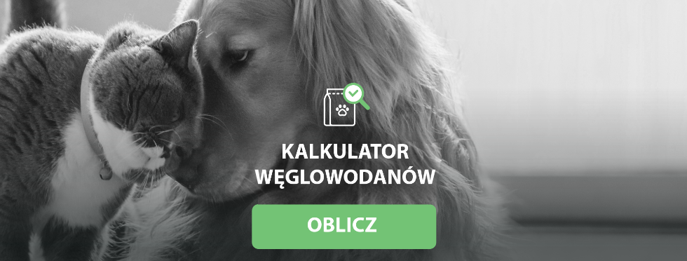 KALKULATOR WW NA STRONĘ-resize980x372.png