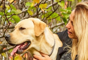 Zawsze na drugim planie? Spraw, by pies przestał cię ignorować na spacerze