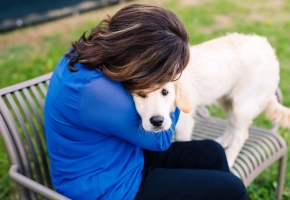 A woman in a blue shirt hugging a cream-colored Golden Retriever puppy on a outdoor bench.