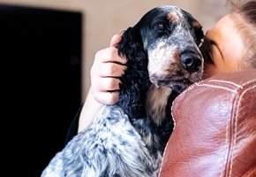 Jak czytać etykiety karm? Dowiedz się, co je Twój zwierzak