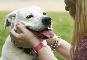 biały pies z opiekunką