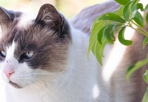 _41_0851_WEBSITE_1680X300