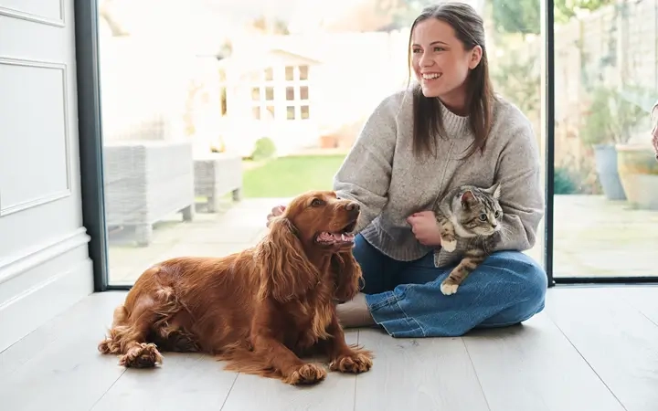 A smiling woman sitting on a light wooden floor with her English Cocker Spaniel and a tabby cat in a sunlit room.