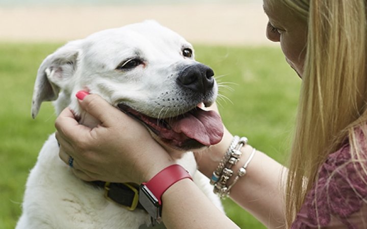 biały pies z opiekunką