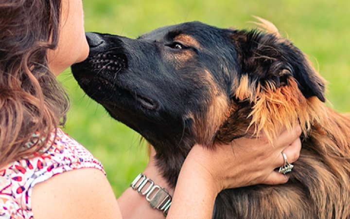 A7R07834_WEBSITE_1680X300