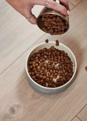 Person pouring dry dog food into a bowl while a small dog waits on a wooden floor.