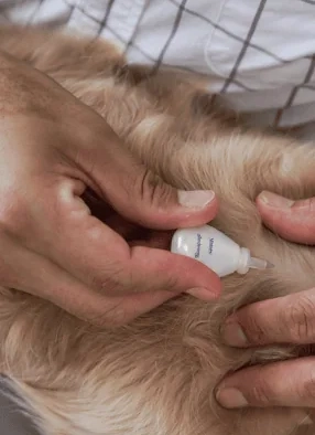 allerderm_spot-on-in-use