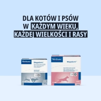 PL_Megaderm_05.2026_3.webp