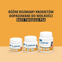 PL_MOVOFLEX-dog_Unity-visual_2_2026.webp