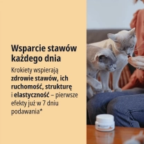 PL_MOVOFLEX-cat_05.2026_2.webp