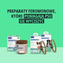 PL_Zenidog-Collar_Unity-visual_2_2026.webp
