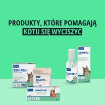 PL_Anxitane_Unity-visual_3_2026.webp