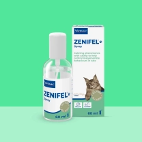 PL_Zenifel-Spray_05.2026_1.webp
