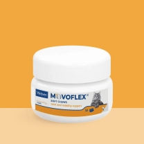 PL_MOVOFLEX-cat_05.2026_1.webp