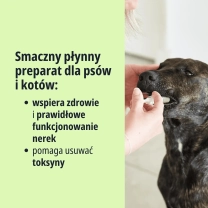 PL_Pronefra-Oral-Suspension_05.2026_2.webp