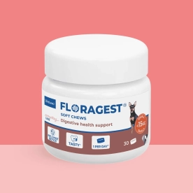 Floragest dog