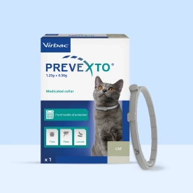 Prevexto cat
