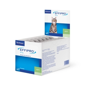 Effipro spot on Cat