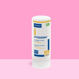 Pyoderm shampoo