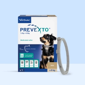 Prevexto dog