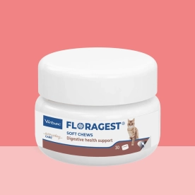 Floragest cat