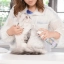 PL_Allerderm-Foam-Cleanser_05.2026_4.webp
