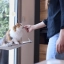 PL_Floragest_Cat_Unity_visual_08_2026_4.webp