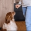 PL_Floragest_Dog_Unity_visual_08_2026_4.webp