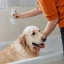 PL_Allerderm-Shampoo-For-Dogs--Cats---Sensitive-Skin_05.2026_5.webp