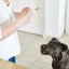 PL_Pronefra-Oral-Suspension_05.2026_4.webp