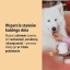 PL_MOVOFLEX-dog_Unity-visual_3_2026.webp