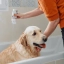 PL_Allerderm-Shampoo-For-Dogs--Cats---Dry--Scaly-Skin_05.2026_5.webp