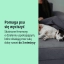 PL_Zenidog-Collar_Unity-visual_3_2026.webp