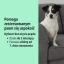 PL_Zenidog-Gel-Diffuser_05.2026_3.webp