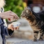 PL_MOVOFLEX-cat_05.2026_4.webp