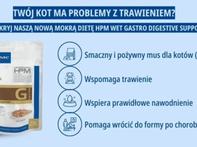 Plansza polecająca HPM G1 wet